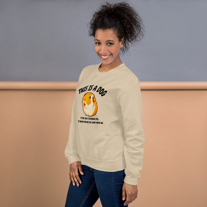 This is a dog sweatshirt
