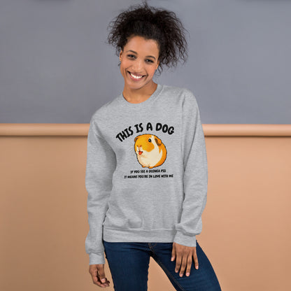 This is a dog sweatshirt