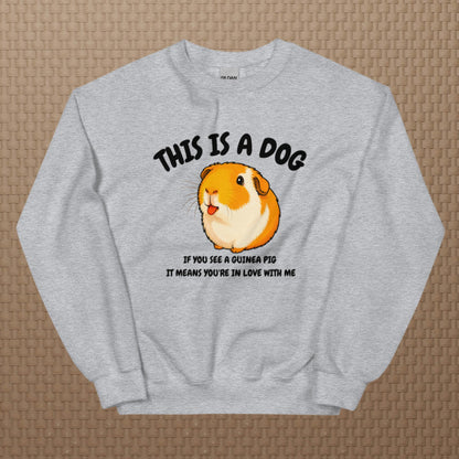 This is a dog sweatshirt