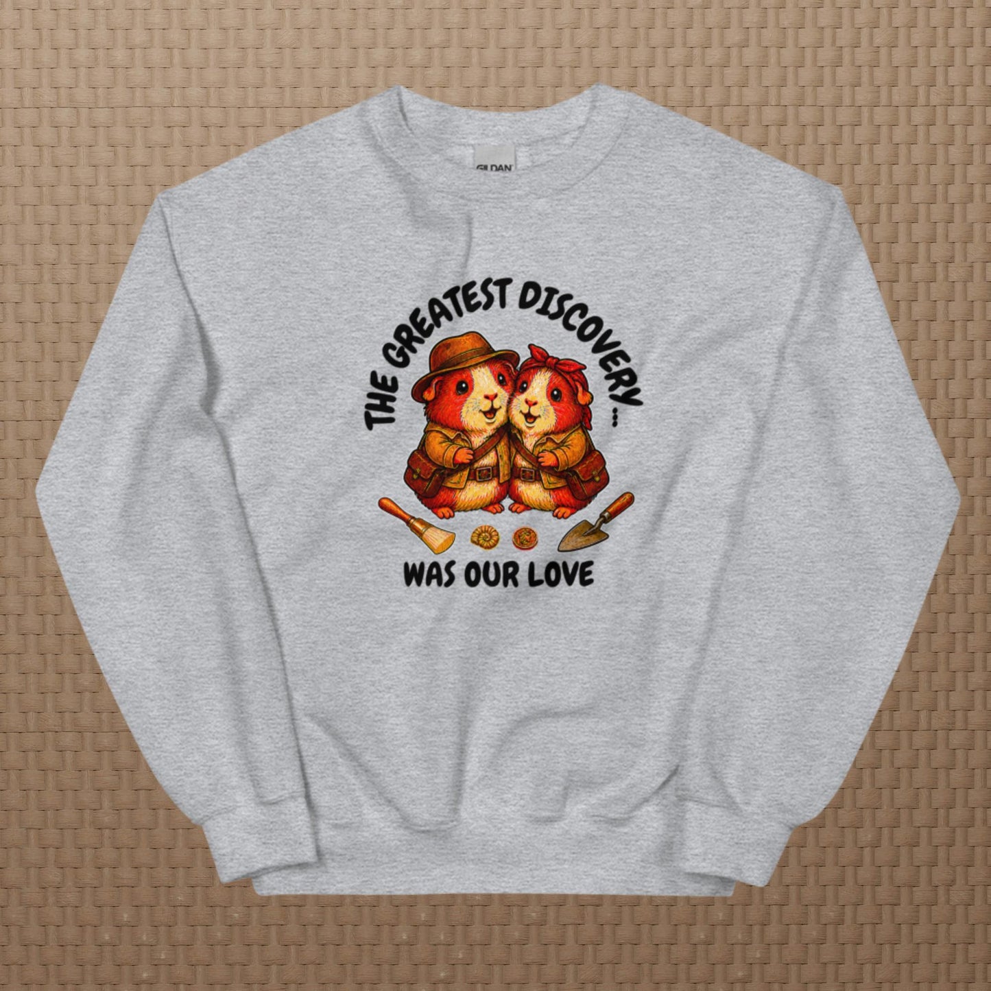 Archeologists sweatshirt