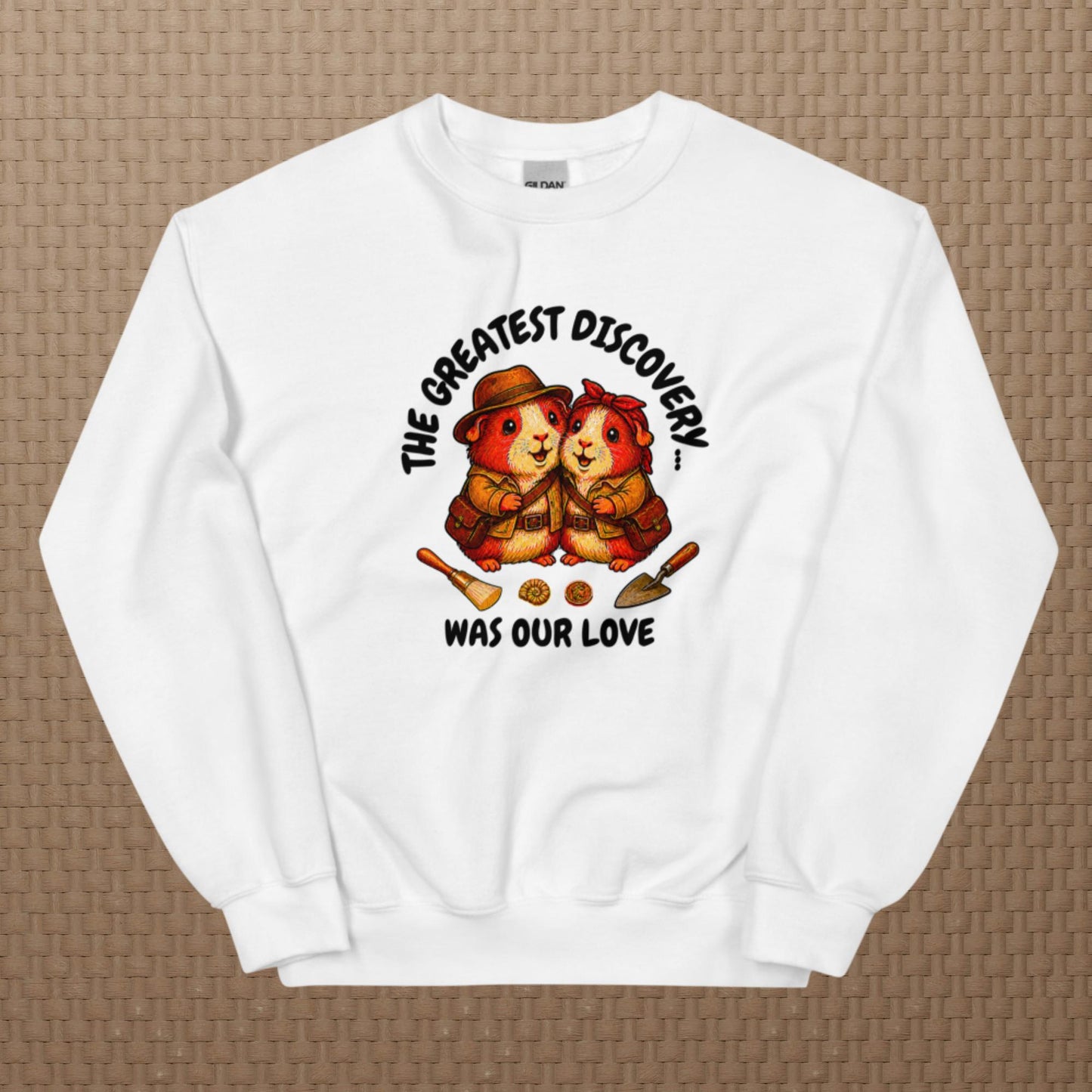 Archeologists sweatshirt