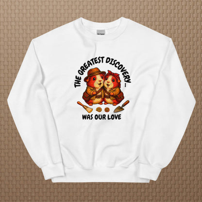 Archeologists sweatshirt