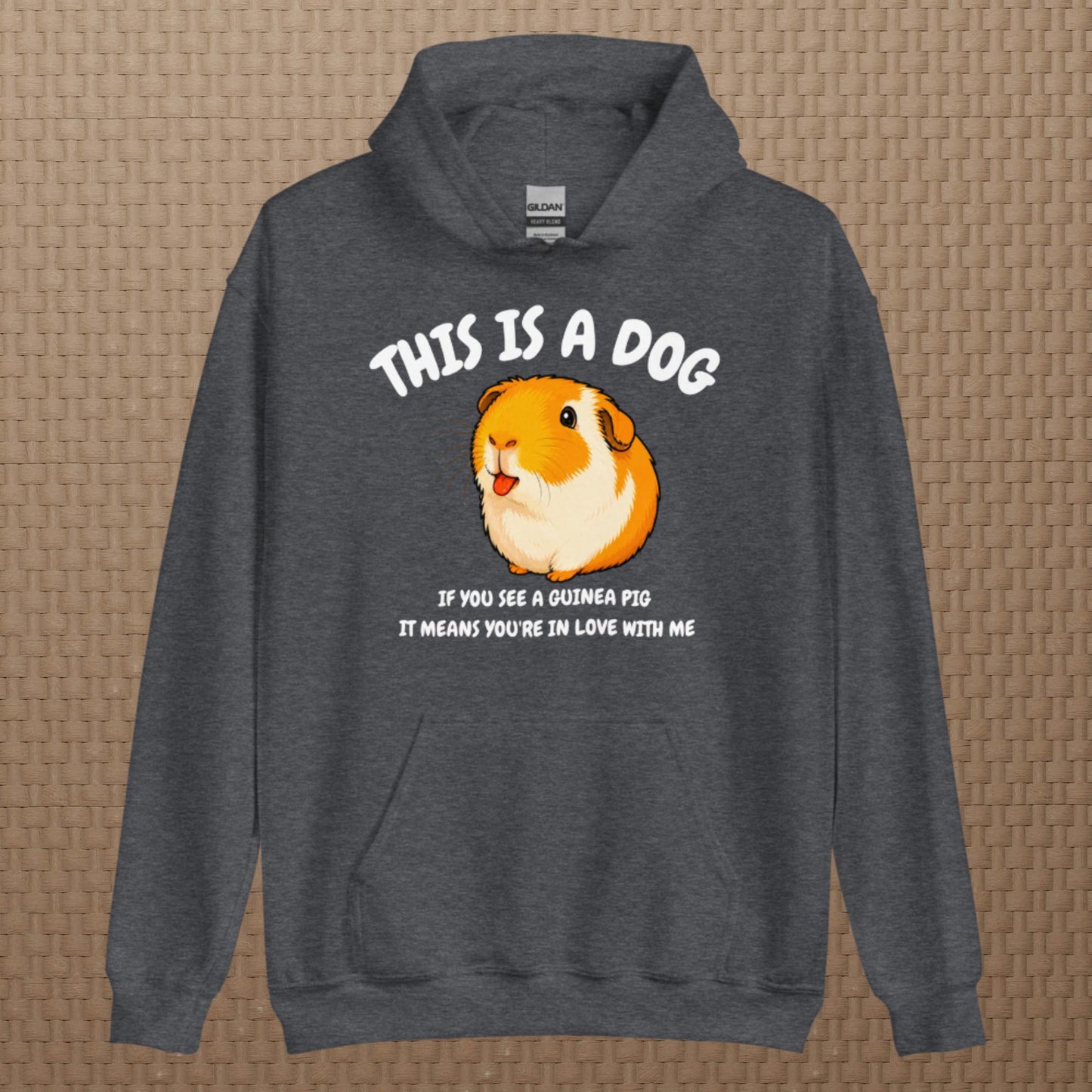 This is a dog hoodie