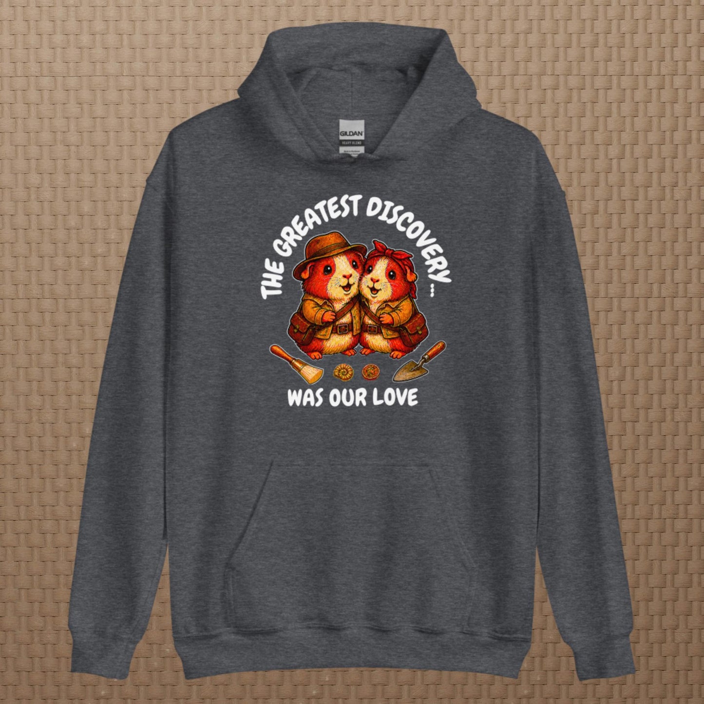 Archeologists hoodie