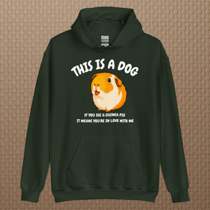 This is a dog hoodie