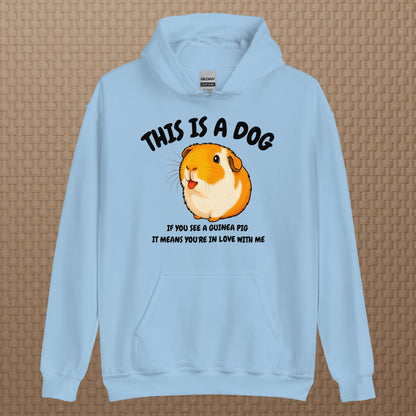 This is a dog hoodie