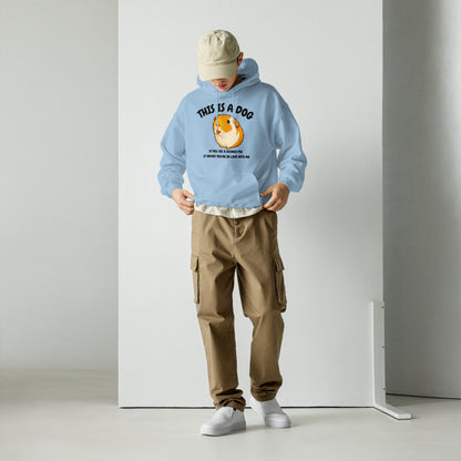 This is a dog hoodie