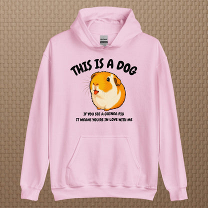 This is a dog hoodie
