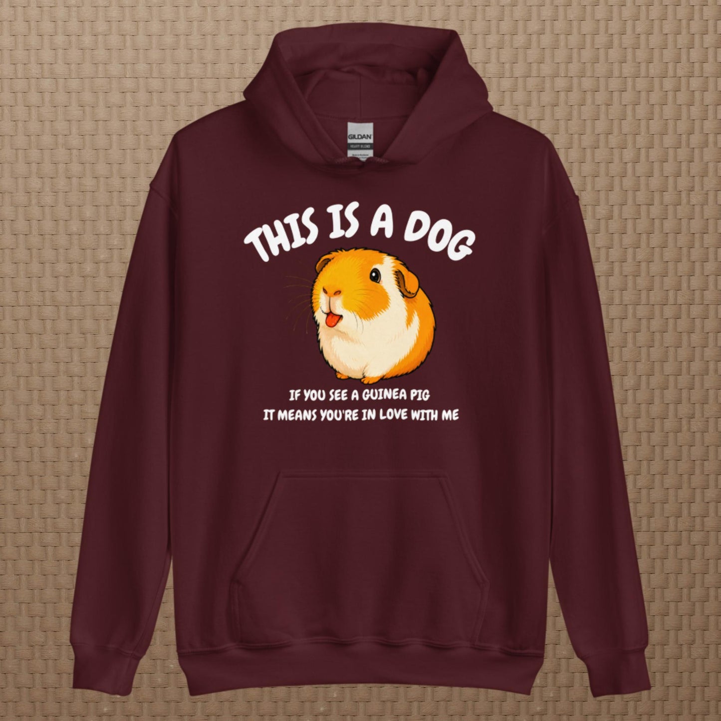 This is a dog hoodie