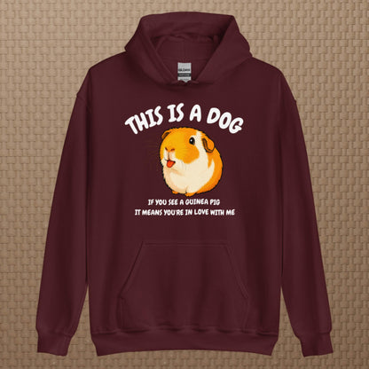 This is a dog hoodie