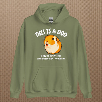 This is a dog hoodie