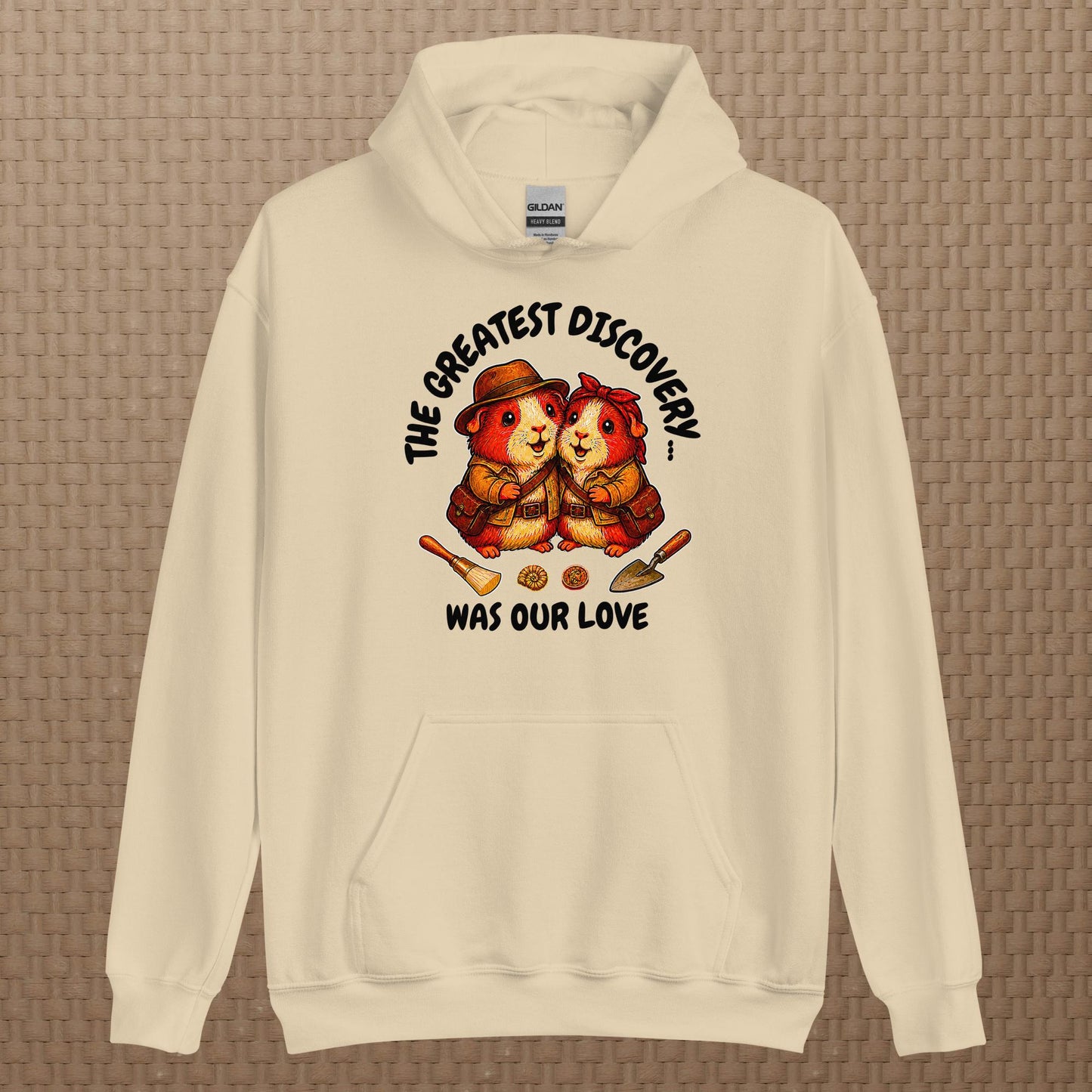Archeologists hoodie