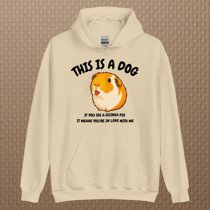 This is a dog hoodie