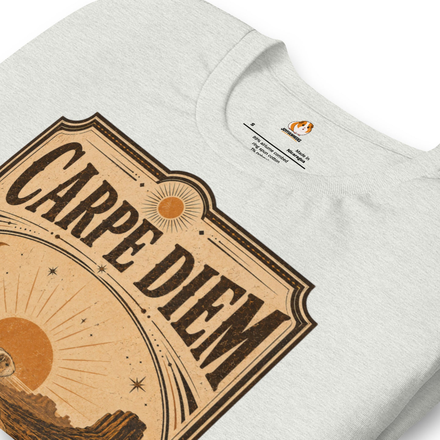 Carpe Diem Premium T-Shirt