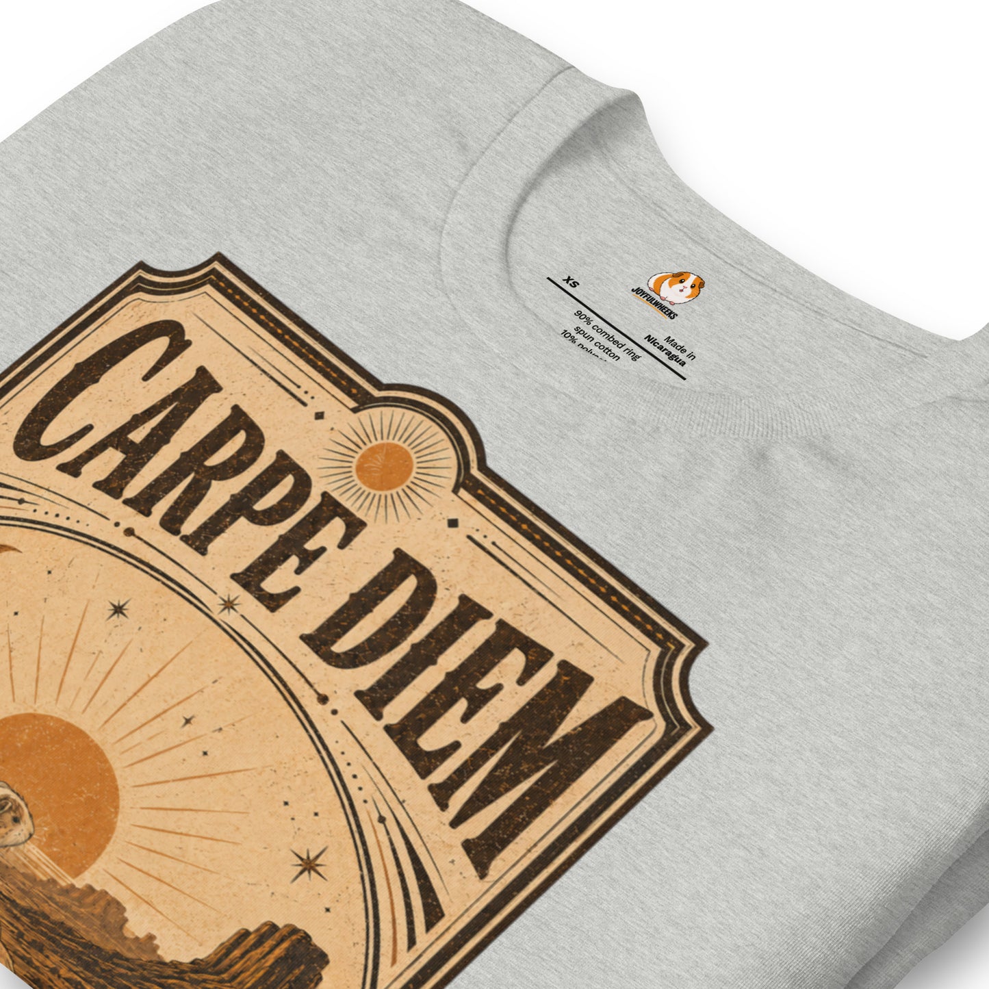 Carpe Diem Premium T-Shirt
