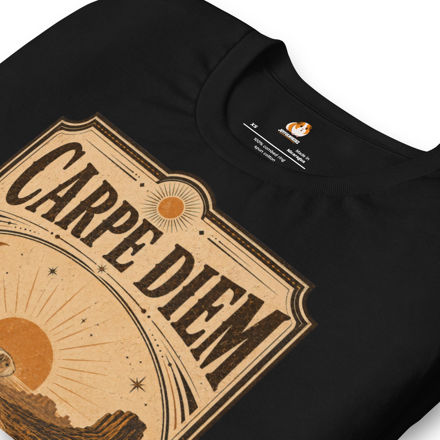 Carpe Diem Premium T-Shirt