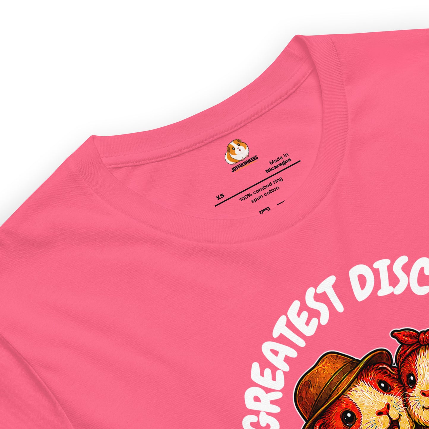 Archeologists Premium T-Shirt