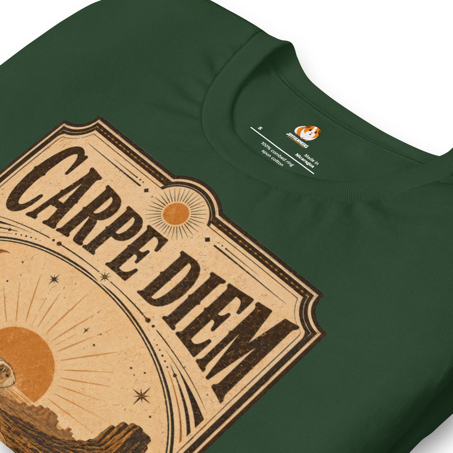 Carpe Diem Premium T-Shirt