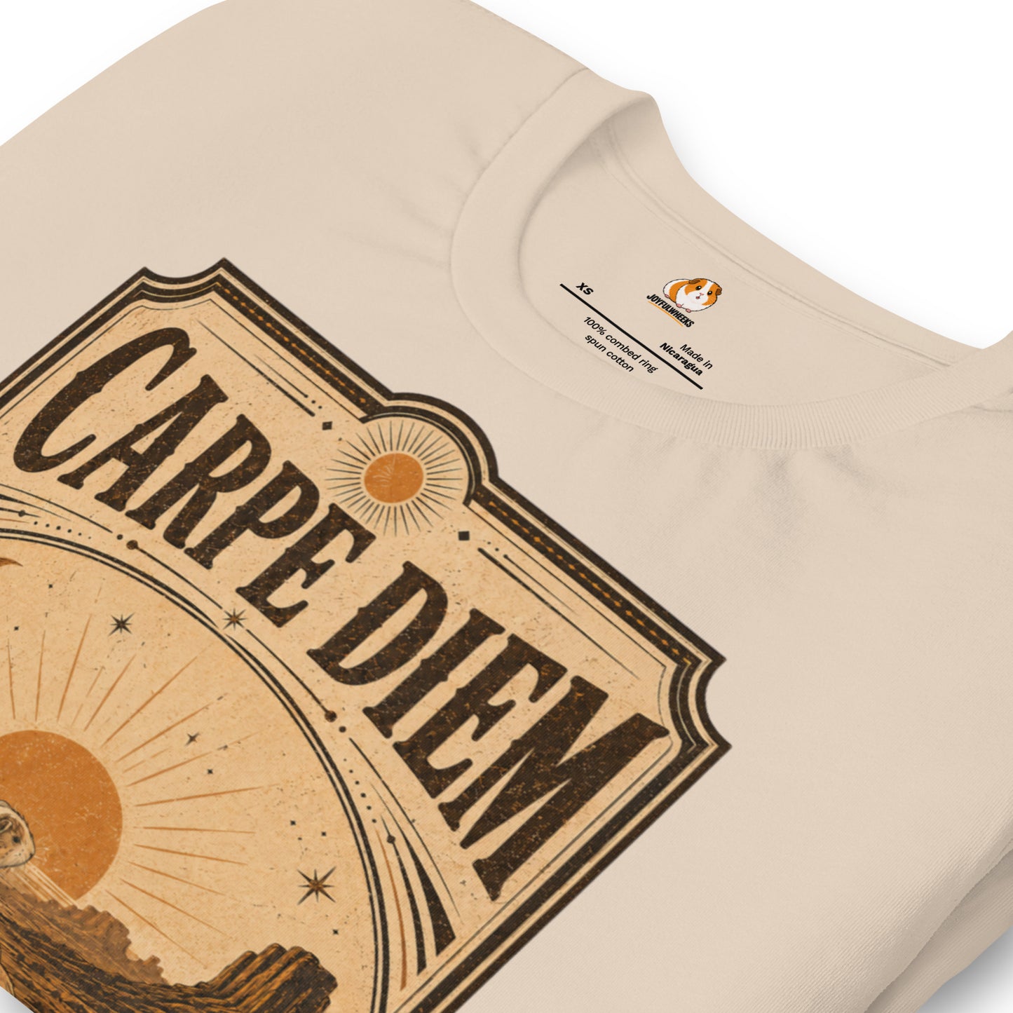 Carpe Diem Premium T-Shirt