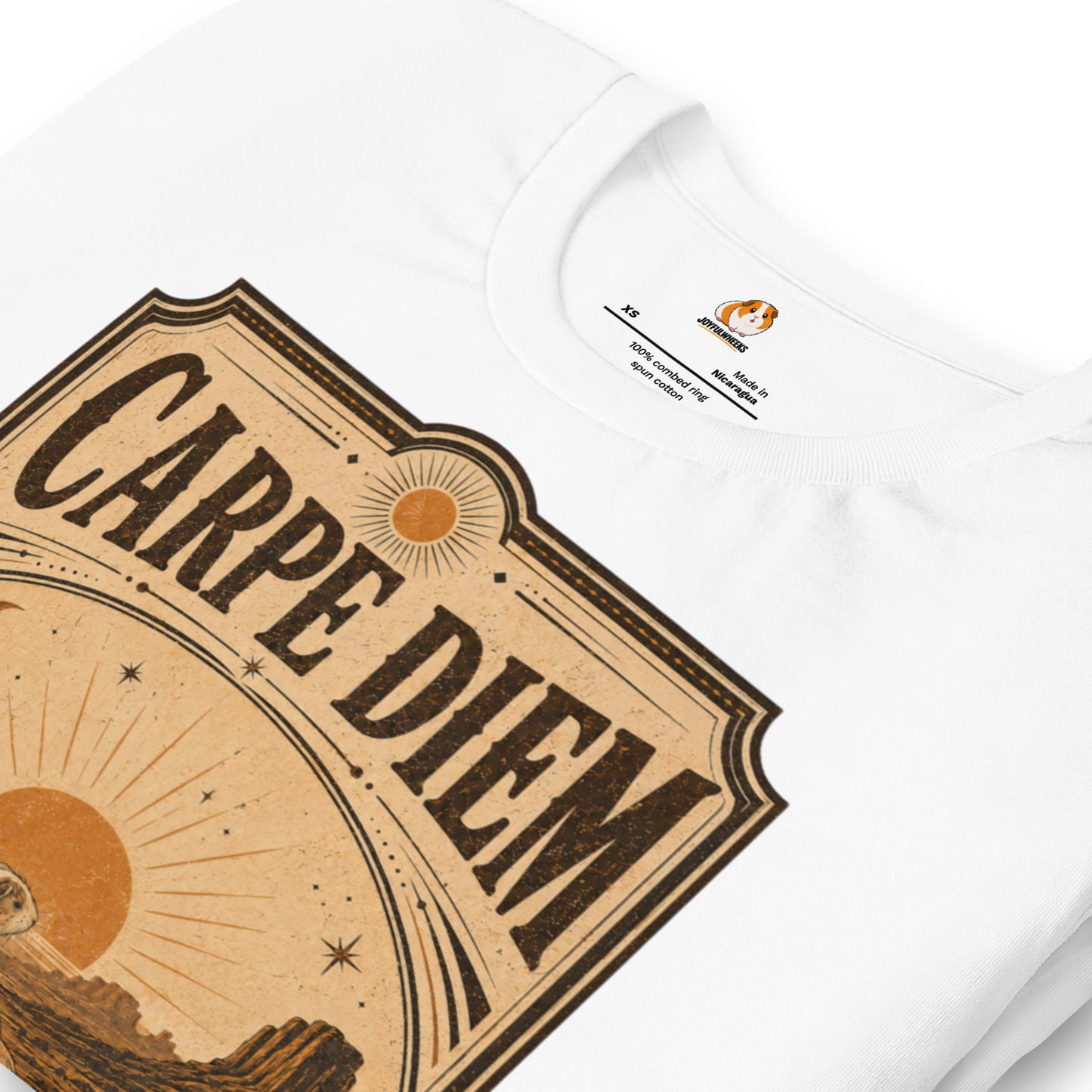 Carpe Diem Premium T-Shirt